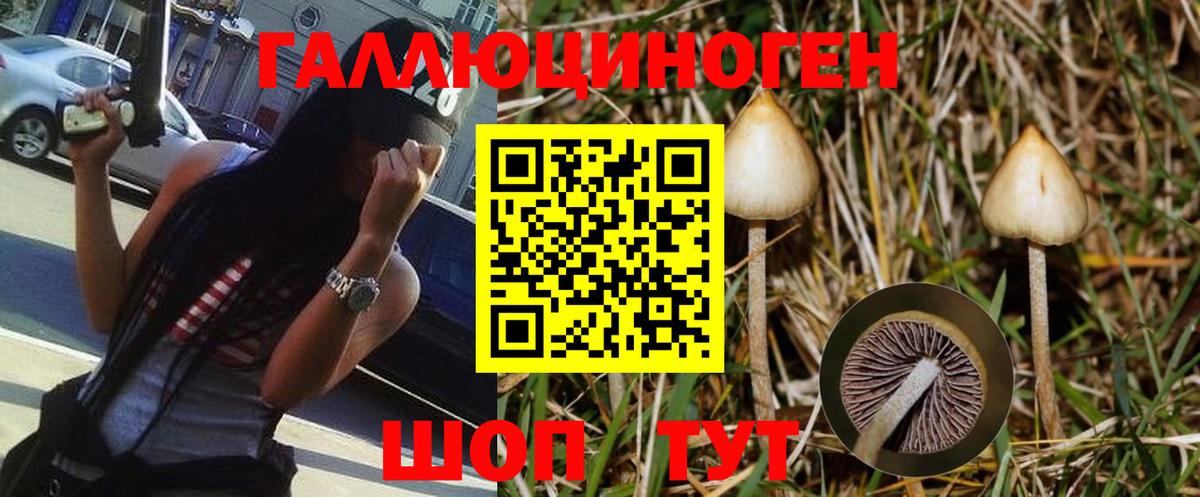 Псилоцибиновые грибы MAGIC MUSHROOMS Краснознаменск